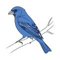 Dynamic Blue Grosbeak Bird Artwork Royalty Free Stock Photo