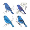 Dynamic Blue Grosbeak Bird Artwork Royalty Free Stock Photo