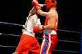 Dynamic boxing fight Royalty Free Stock Photo