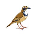 Dynamic Buff-Throated Saltator Bird Design Royalty Free Stock Photo