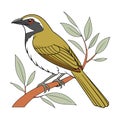 Dynamic Buff-Throated Saltator Bird Design Royalty Free Stock Photo