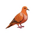 Dynamic Cinnamon Ground Dove Bird Illustration Royalty Free Stock Photo