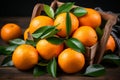 Dynamic Citrus Splash. Refreshing Orange Juice with Vibrant Juiciness for Revitalizing Experience