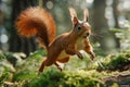 Dynamic Close Up Shot of Squirrel Jumping Between Trees in Sunlit Forest, Vivid Nature Image, Action Wildlife Photography