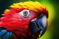 Dynamic and Colorful Snapshots of a Parrot Emphasizing Its Emotional and Unpredictable Nature