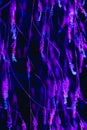 Pulsating neon lines in darkness. Abstract purple light. Royalty Free Stock Photo