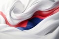 Modern South Korean Flag Design: Twisted Waves and Minimalist Style in 3D