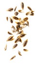 Dynamic Drift of Mixed Spice Seeds Captured in Studio Lighting