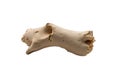 A dynamic driftwood piece with intricate twists and a smooth texture isolated on transparent background