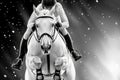 Dynamic equestrian jump: black and white horseback riding in dramatic spotlight Royalty Free Stock Photo