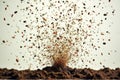 Dynamic explosion of multicolored seeds in soil capturing growth potential
