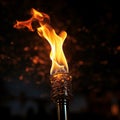 Dynamic fire torch, close up on black, radiating intense luminosity