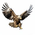 Dynamic Golden Eagle Flying In Arctic - Iconic Civil Rights Imagery