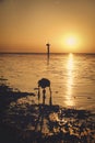 Dynamic golden sunset behind low hanging clouds over the north sea at the Dutch coast. A out of focus camera on a tripod Royalty Free Stock Photo