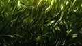 Dynamic green shapes create abstract background with vibrant and lively atmosphere