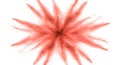 Radiant Coral Powder Explodes in a Symmetrical Starburst on White Royalty Free Stock Photo