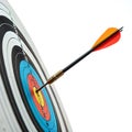 Arrow Hit the Center of Target Isolated on White Background Royalty Free Stock Photo