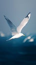 Dynamic image captures sea seagull in graceful flight