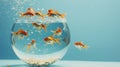 Vibrant goldfish swimming in a fishbowl with a blue background Royalty Free Stock Photo