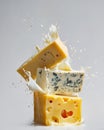 Stack of Cheese Cubes with Splashing Milk â Fresh Dairy Concept with Variety of Cheeses Royalty Free Stock Photo