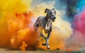 Dynamic image of a greyhound running with a vibrant, multicolored powder explosion