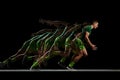 Dynamic image of muscular man, athlete in motion, showing strength and agility, running against black background with