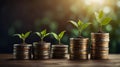 A dynamic image of young plants growing from stacks of coins, symbolizing the growth of investments and financial Royalty Free Stock Photo