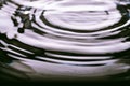 363.Dynamic Light Liquid Surface Ripples Royalty Free Stock Photo