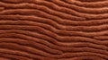 Dynamic Lines And Terracotta Tones: Brown Fur Texture Stock Picture
