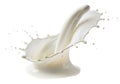 Dynamic milk splash captures fresh dairy beverage motion with elegant fluid dynamics and refreshing purity Royalty Free Stock Photo