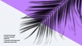 Abstract Palm Leaf Shadow Overlay on Purple and Transparent Background Royalty Free Stock Photo