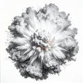 Dynamic Monochrome Powder Explosion on White Background Royalty Free Stock Photo