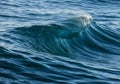 A dynamic ocean wave with a crest about to break. The water appears deep blue with Royalty Free Stock Photo