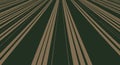 Dynamic pattern of converging brown lines on a dark green background creates an Royalty Free Stock Photo