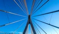 Dynamic Perspective of a Modern Cable-Stayed Bridge Royalty Free Stock Photo