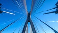 Dynamic Perspective of a Modern Cable-Stayed Bridge Royalty Free Stock Photo