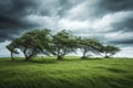 Dynamic photography of wind swept trees in a grassy landscape beneath a dramatic cloudy sky Royalty Free Stock Photo