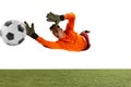 Dynamic portrait of professional soccer goalkeeper jumping and catching football ball isolated over white background Royalty Free Stock Photo
