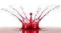 Dynamic red liquid splash frozen in time capturing intense movement and splatter detail Royalty Free Stock Photo