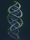 Dynamic representation of a DNA helix merging with nature\'s elements. AI Generated