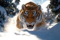 A dynamic scene of an explorer\'s encounter with a saber-toothed tiger in a dense, snow-covered forest Royalty Free Stock Photo