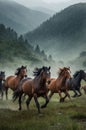 Wild Horse Herd Running Freely Through Mountain Meadow in the Rain Royalty Free Stock Photo