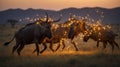 A Wildebeest Herd with Festive Lights at Sunset in African Savanna Field. Royalty Free Stock Photo