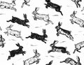 Rabbit Run - A Seamless Pattern of Leaping Hares Royalty Free Stock Photo