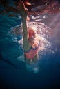 Dynamic shot of professional female swimmer training in swimming pool indoor. Developing speed. Underwater view. Concept Royalty Free Stock Photo