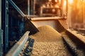 A dynamic shot showcasing soybeans on a conveyor belt within an industrial setting, highlighting the processing and movement of Royalty Free Stock Photo