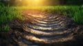 Dynamic Soil Designs for Clay-Rich Gardens Innovative Concepts for Efficient Water Flow and Drainage Improve water retention and