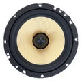 Dynamic speaker Royalty Free Stock Photo