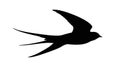 Dynamic swallow silhouette in rapid flight, showcasing avian speed, vector design Generative AI Royalty Free Stock Photo