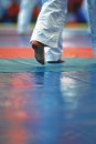 Dynamic taekwondo roundhouse kick at summer olympics, showcasing athleticism flexibility Royalty Free Stock Photo